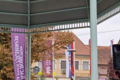 IMG-b52c5822f90178daf03bd6b9eb2f7796-V