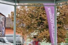 IMG-f23520f35ab6075fa13c2c4da9cbcf2c-V